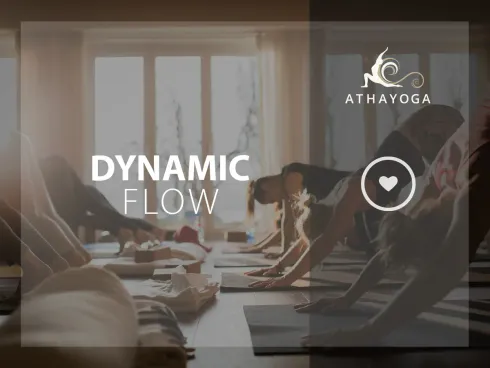 Dynamic Flow (DE)