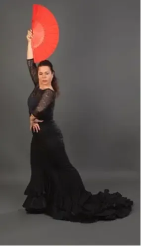 Flamenco Technik