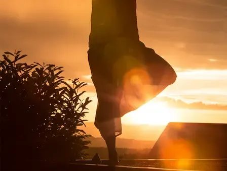 ONLINE LIVE STREAM (FR) - Yoga pour la force et la vitalité